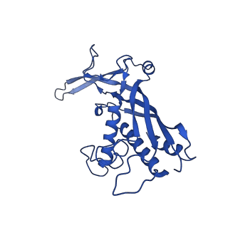 38066_8x5d_K_v1-0
The cryo-EM structure of the Mycobacterium tuberculosis CRISPR-Csm complex