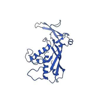 38066_8x5d_L_v1-0
The cryo-EM structure of the Mycobacterium tuberculosis CRISPR-Csm complex