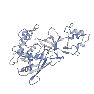 38066_8x5d_N_v1-0
The cryo-EM structure of the Mycobacterium tuberculosis CRISPR-Csm complex