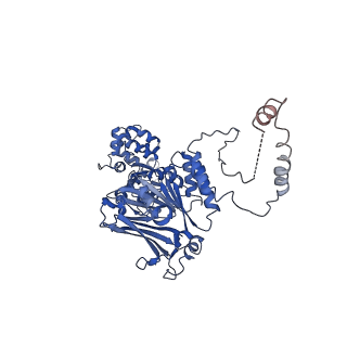 38070_8x5i_D_v1-0
tetramer Gabija with ATP (local refinement)