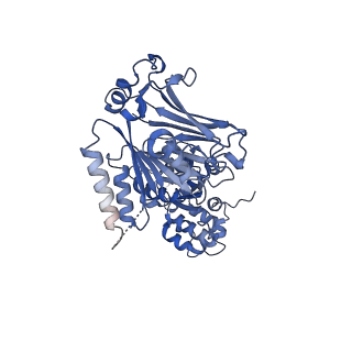 38071_8x5n_A_v1-0
Tetramer Gabija with ATP