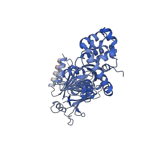 38071_8x5n_C_v1-0
Tetramer Gabija with ATP