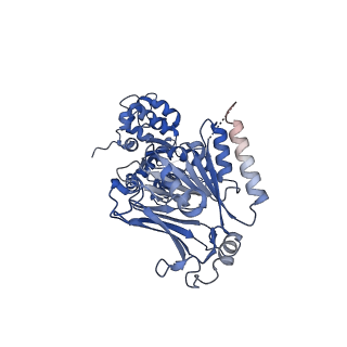 38071_8x5n_D_v1-0
Tetramer Gabija with ATP