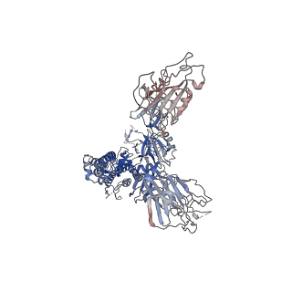 6705_5x5b_A_v1-1
Prefusion structure of SARS-CoV spike glycoprotein, conformation 2