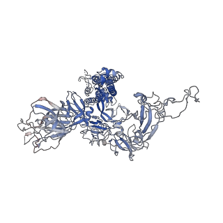 6705_5x5b_C_v1-1
Prefusion structure of SARS-CoV spike glycoprotein, conformation 2