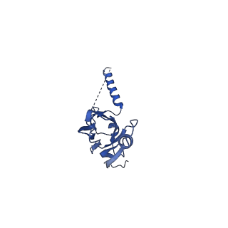 20021_6x6j_AX_v1-1
Cryo-EM Structure of CagX and CagY within the Helicobacter pylori PR