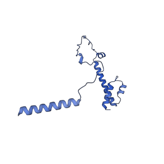 20021_6x6j_AY_v1-1
Cryo-EM Structure of CagX and CagY within the Helicobacter pylori PR