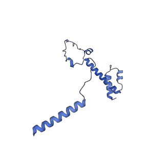 20021_6x6j_BY_v1-1
Cryo-EM Structure of CagX and CagY within the Helicobacter pylori PR