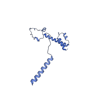 20021_6x6j_CY_v1-1
Cryo-EM Structure of CagX and CagY within the Helicobacter pylori PR
