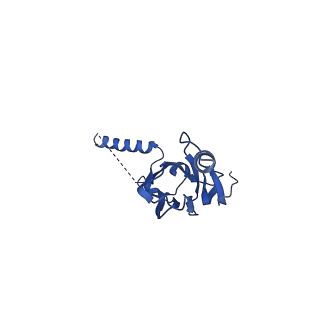 20021_6x6j_DX_v1-1
Cryo-EM Structure of CagX and CagY within the Helicobacter pylori PR