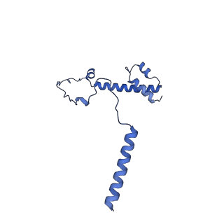 20021_6x6j_DY_v1-1
Cryo-EM Structure of CagX and CagY within the Helicobacter pylori PR
