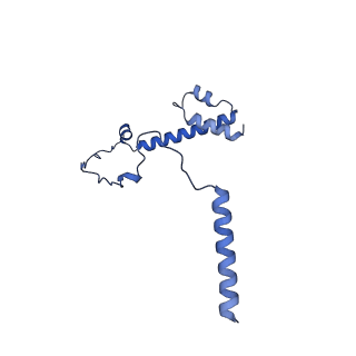 20021_6x6j_EY_v1-1
Cryo-EM Structure of CagX and CagY within the Helicobacter pylori PR
