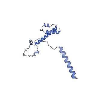 20021_6x6j_FY_v1-1
Cryo-EM Structure of CagX and CagY within the Helicobacter pylori PR