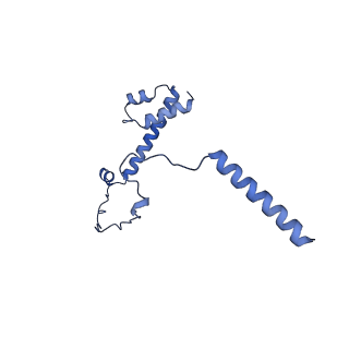 20021_6x6j_GY_v1-1
Cryo-EM Structure of CagX and CagY within the Helicobacter pylori PR