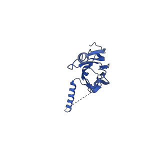 20021_6x6j_HX_v1-1
Cryo-EM Structure of CagX and CagY within the Helicobacter pylori PR