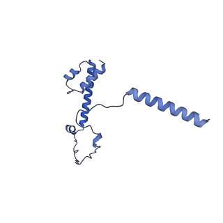 20021_6x6j_HY_v1-1
Cryo-EM Structure of CagX and CagY within the Helicobacter pylori PR