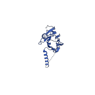 20021_6x6j_IX_v1-1
Cryo-EM Structure of CagX and CagY within the Helicobacter pylori PR