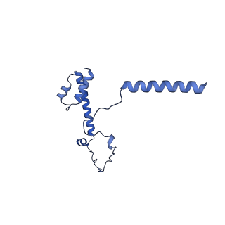 20021_6x6j_IY_v1-1
Cryo-EM Structure of CagX and CagY within the Helicobacter pylori PR