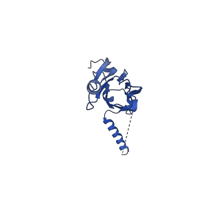 20021_6x6j_JX_v1-1
Cryo-EM Structure of CagX and CagY within the Helicobacter pylori PR