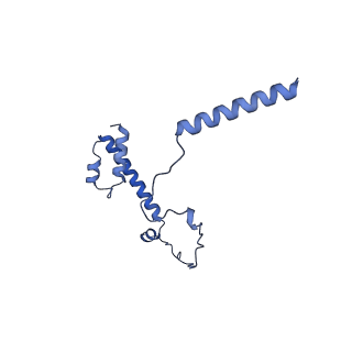 20021_6x6j_JY_v1-1
Cryo-EM Structure of CagX and CagY within the Helicobacter pylori PR