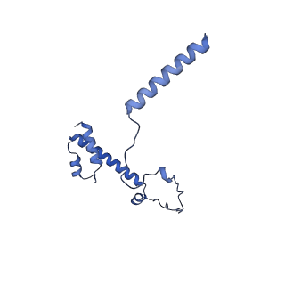 20021_6x6j_KY_v1-1
Cryo-EM Structure of CagX and CagY within the Helicobacter pylori PR