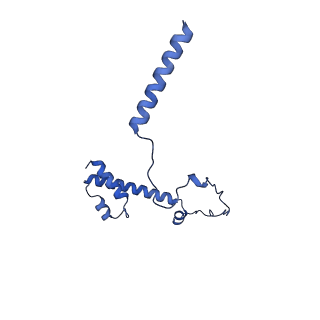 20021_6x6j_LY_v1-1
Cryo-EM Structure of CagX and CagY within the Helicobacter pylori PR