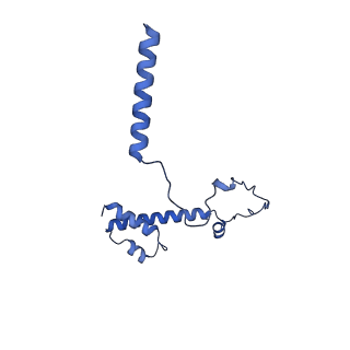 20021_6x6j_MY_v1-1
Cryo-EM Structure of CagX and CagY within the Helicobacter pylori PR