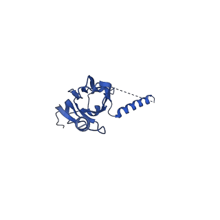 20021_6x6j_NX_v1-1
Cryo-EM Structure of CagX and CagY within the Helicobacter pylori PR