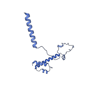 20021_6x6j_NY_v1-1
Cryo-EM Structure of CagX and CagY within the Helicobacter pylori PR