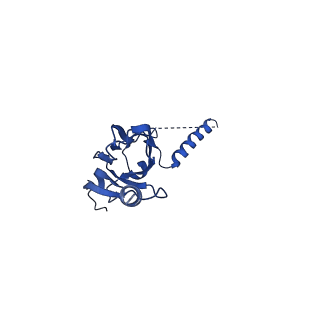 20021_6x6j_OX_v1-1
Cryo-EM Structure of CagX and CagY within the Helicobacter pylori PR