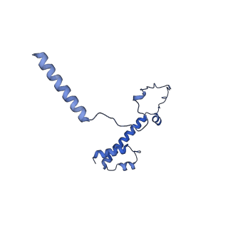 20021_6x6j_OY_v1-1
Cryo-EM Structure of CagX and CagY within the Helicobacter pylori PR