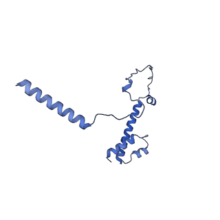 20021_6x6j_PY_v1-1
Cryo-EM Structure of CagX and CagY within the Helicobacter pylori PR