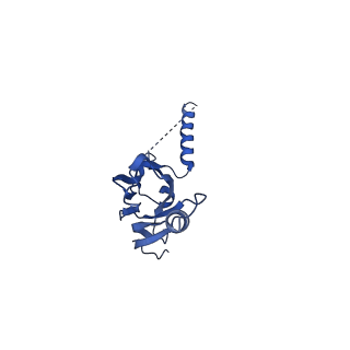 20021_6x6j_QX_v1-1
Cryo-EM Structure of CagX and CagY within the Helicobacter pylori PR