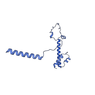 20021_6x6j_QY_v1-1
Cryo-EM Structure of CagX and CagY within the Helicobacter pylori PR