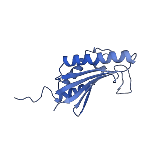 22068_6x62_AK_v1-2
Legionella pneumophila Dot T4SS OMC