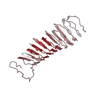 22068_6x62_AX_v1-2
Legionella pneumophila Dot T4SS OMC