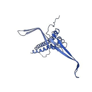 22068_6x62_BC_v1-2
Legionella pneumophila Dot T4SS OMC