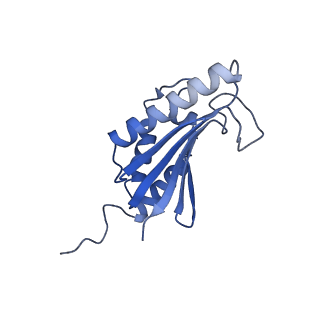 22068_6x62_BK_v1-2
Legionella pneumophila Dot T4SS OMC