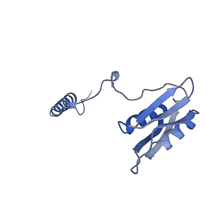 22068_6x62_CD_v1-2
Legionella pneumophila Dot T4SS OMC