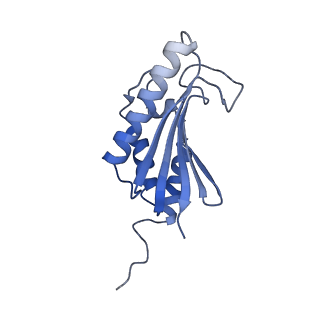 22068_6x62_CK_v1-2
Legionella pneumophila Dot T4SS OMC