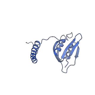 22068_6x62_Cd_v1-2
Legionella pneumophila Dot T4SS OMC