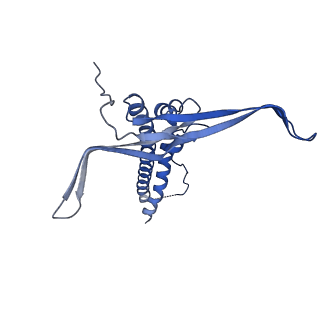 22068_6x62_DC_v1-2
Legionella pneumophila Dot T4SS OMC