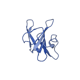 22068_6x62_DH_v1-2
Legionella pneumophila Dot T4SS OMC