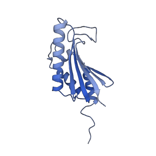 22068_6x62_DK_v1-2
Legionella pneumophila Dot T4SS OMC