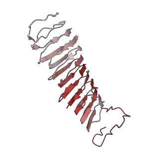 22068_6x62_DX_v1-2
Legionella pneumophila Dot T4SS OMC