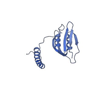 22068_6x62_Dd_v1-2
Legionella pneumophila Dot T4SS OMC