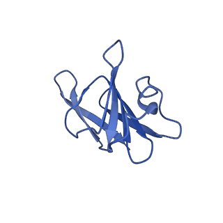 22068_6x62_EH_v1-2
Legionella pneumophila Dot T4SS OMC