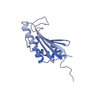 22068_6x62_EK_v1-2
Legionella pneumophila Dot T4SS OMC