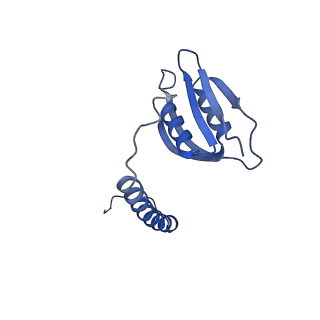 22068_6x62_Ed_v1-1
Legionella pneumophila Dot T4SS OMC