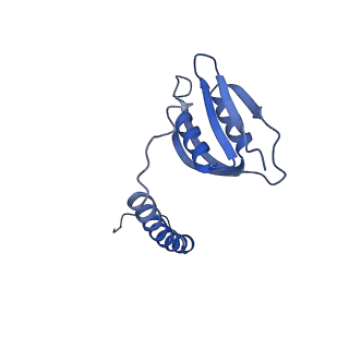 22068_6x62_Ed_v1-2
Legionella pneumophila Dot T4SS OMC